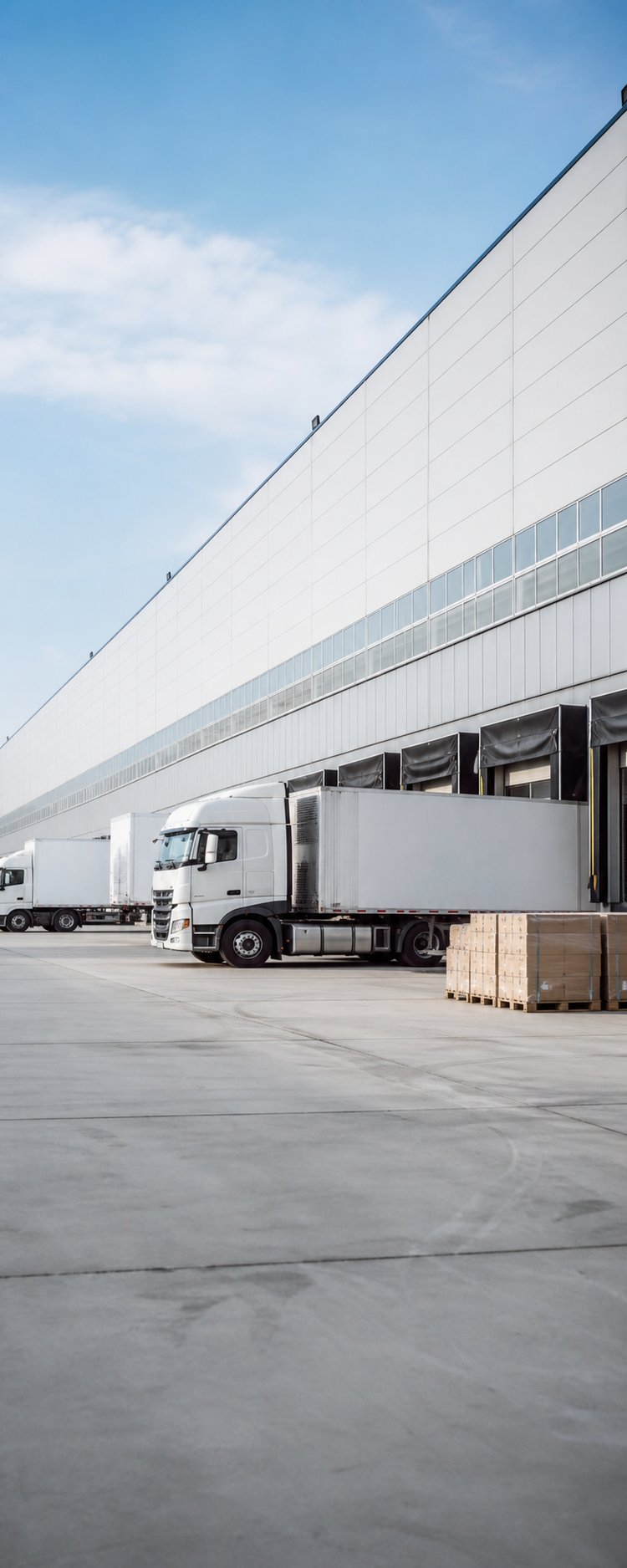 Modern Distribution Center Logistics