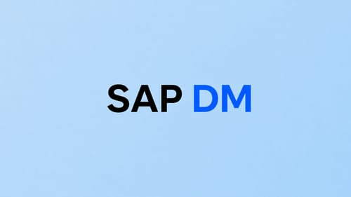 SAP DM Text on Background