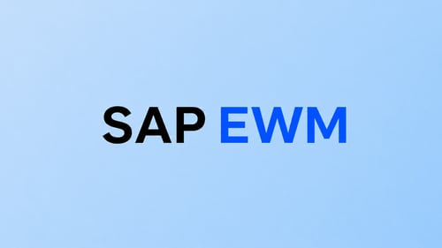 SAP EWM Text Overlay on Patterned Background