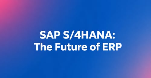 SAP S4HANA Future ERP Text Display