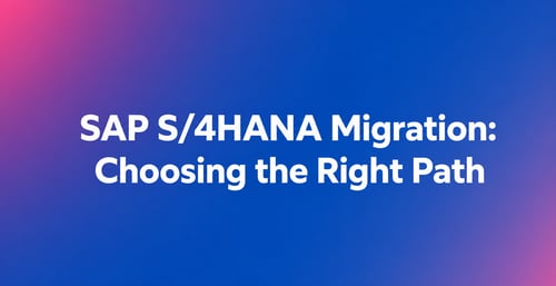 SAP S4HANA Migration Text Display