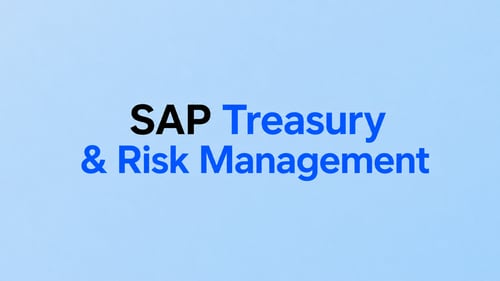 SAP Treasury  Risk Management Text Design