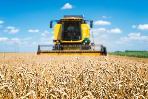 combine-harvester-working-field