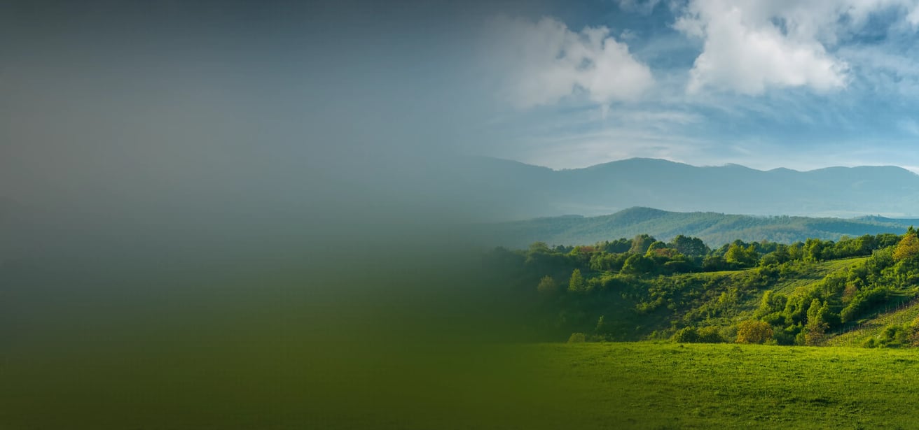 main banner
