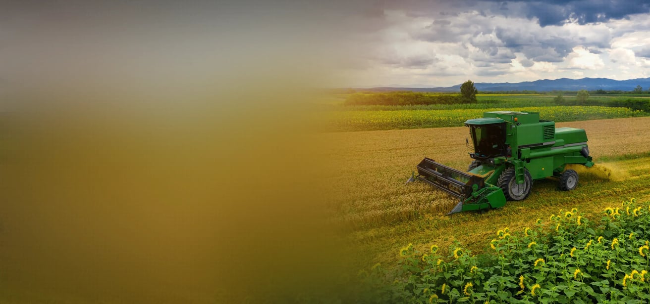 main banner