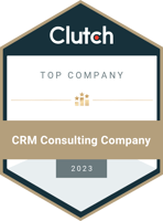 TOP CRM Consulting Company 2023