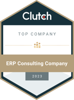 TOP ERP Consulting Company 2023
