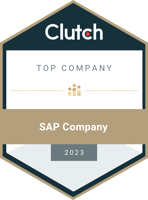 TOP SAP Company 2023