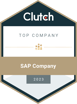 TOP SAP Company 2023