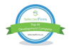 SelectedFirms-ai-development