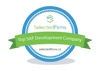 SelectedFirms-top-sap-development