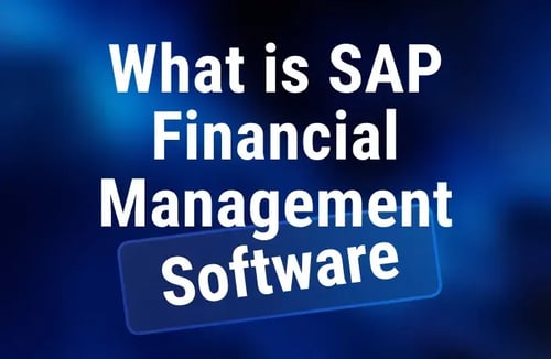 What-is-SAP-Financial-Management-Software-prev