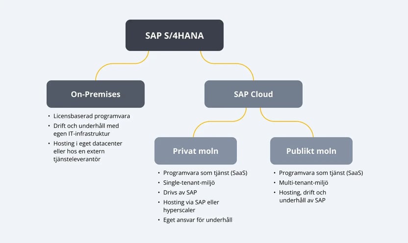 sap-cloud-strategy-nordics-1