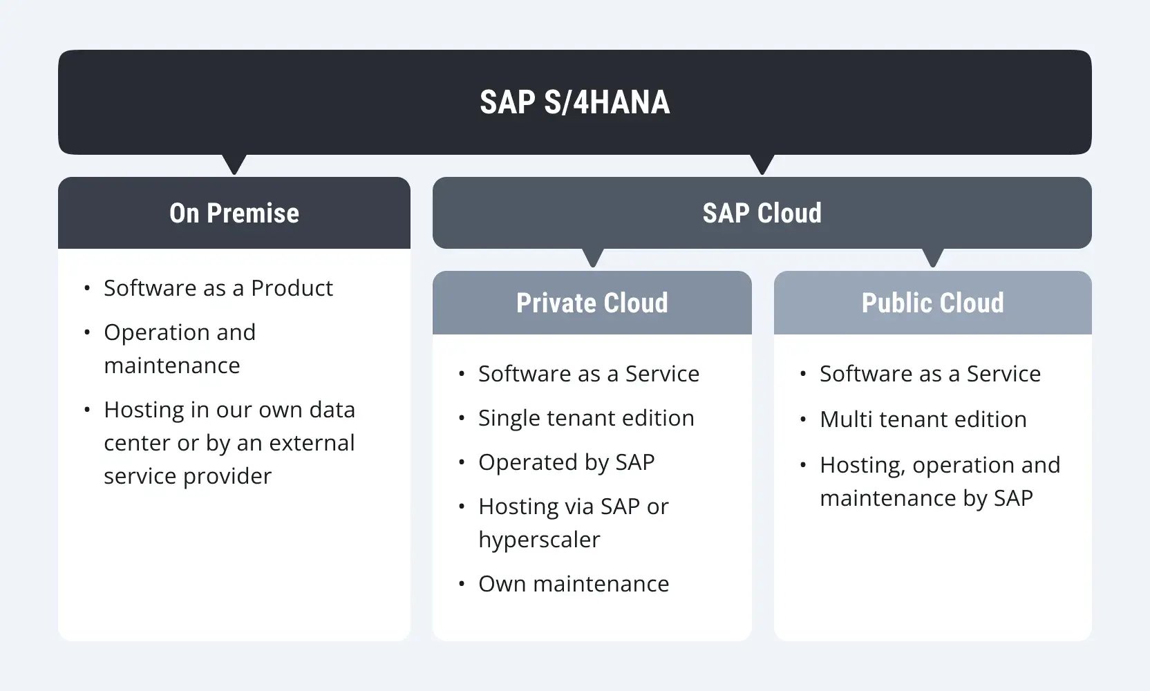 sap-public-private-cloud-nordics-strategy-1