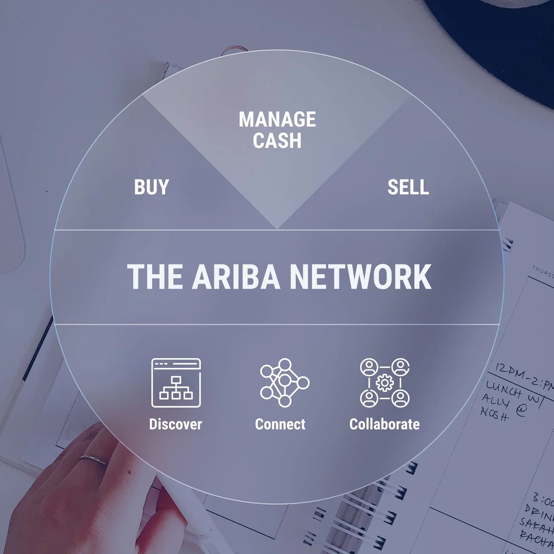 the-ariba-network