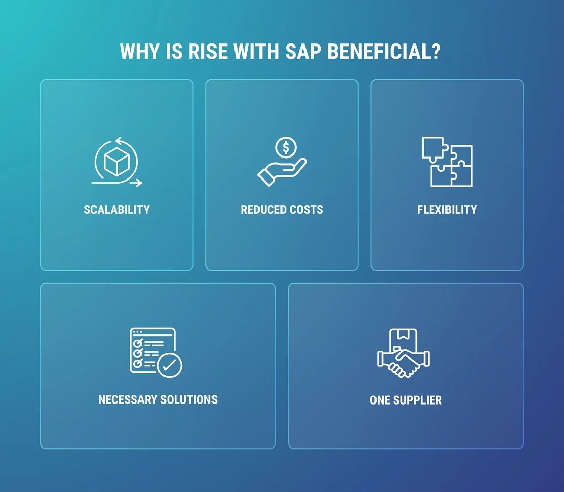 why-is-rise-with-sap