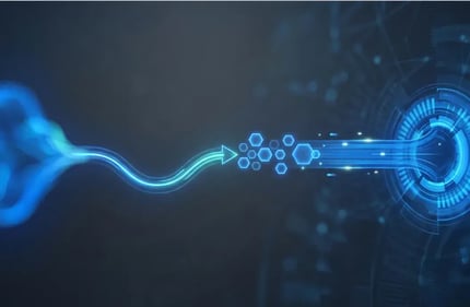 workday-to-sap-s4hana-migration-cove