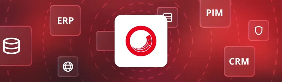 Enterprise-level integrations