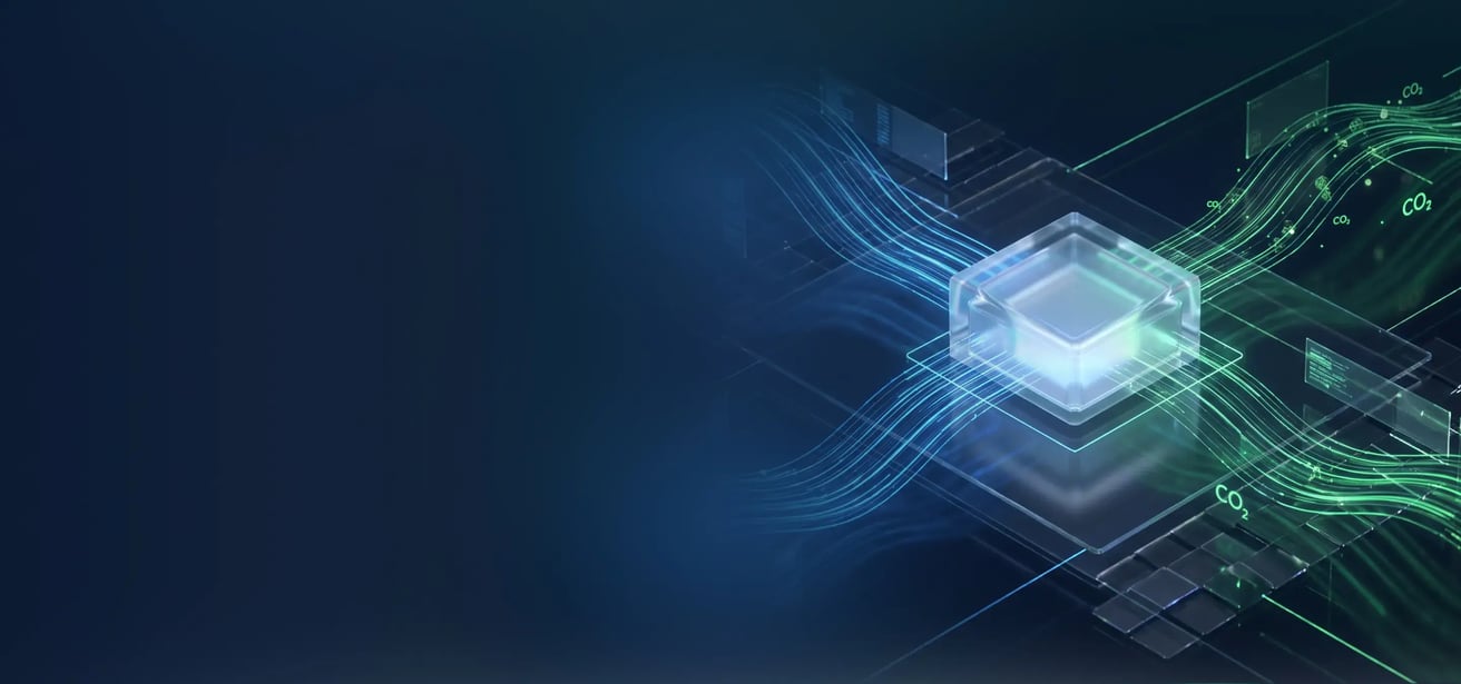main banner