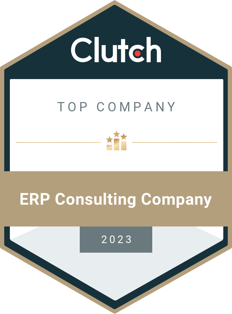 TOP ERP Consulting Company