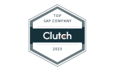 TOP SAP Company