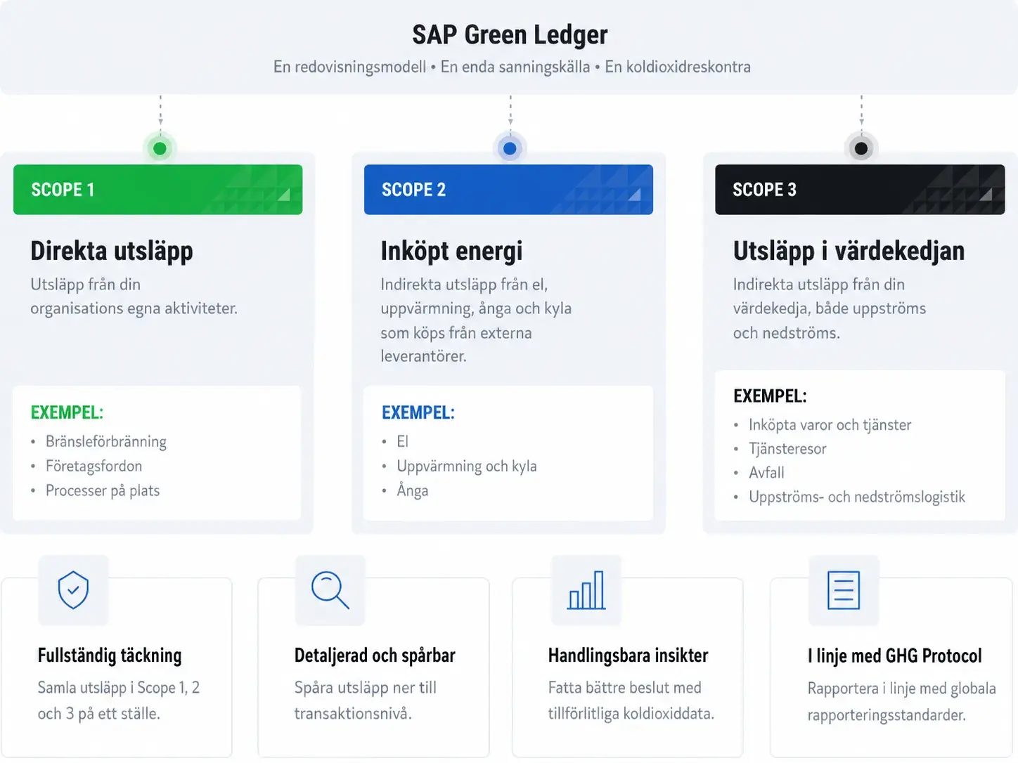 SAP Green Ledger SV_conv